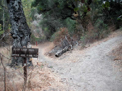 Image Number Sixteen