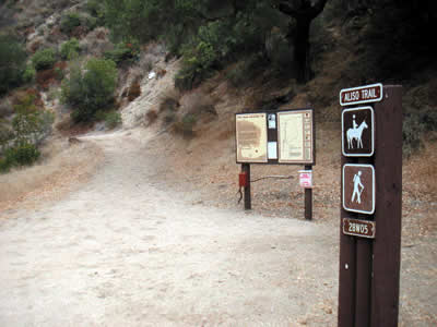 Image Number Seventeen