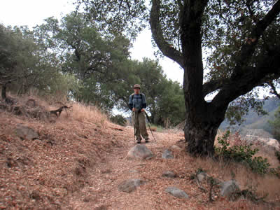 Image Number Three