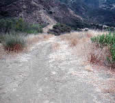 ALI010 'Flat' area