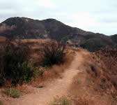 ALI006 Hillside
