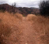 ALI007 Top of hill