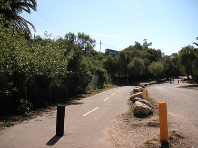 Image Number Ten