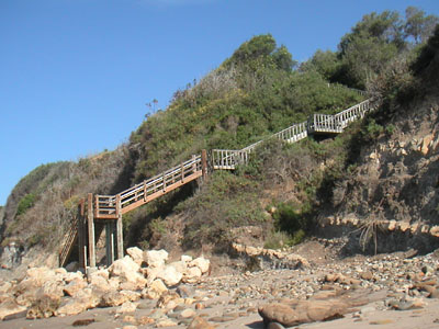 Image Number Four