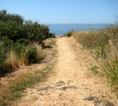 ANI012 Trail splits