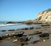 ANI007 Rocky point