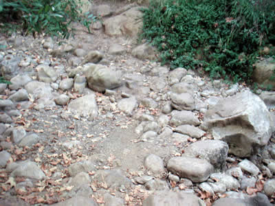 Image Number Five