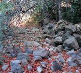 ABS015 Creek CrossingCreek Crossing