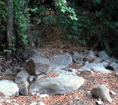 ABS016 Creek Crossing