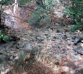 ABS017 Creek Crossing