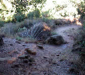 SY002 Follow trail signs