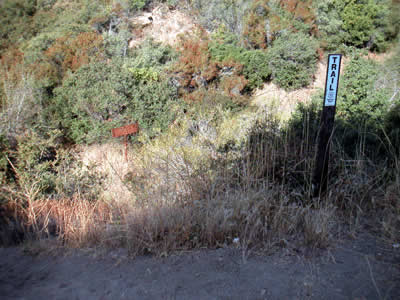 Image Number Three