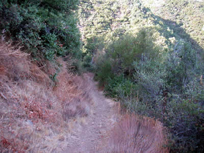 Image Number Four