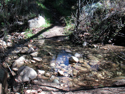 Image Number Nine
