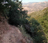 ABN006 Switchbacks