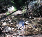 ABN009 Creek crossing