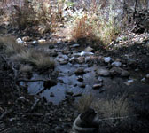 BCT005 Creek Crossing