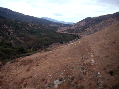 Image Number Five