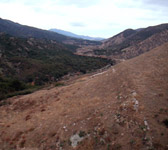 CAM005 Top of ridge