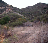 CAM007 Trail turns downhill