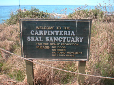Image Number Five