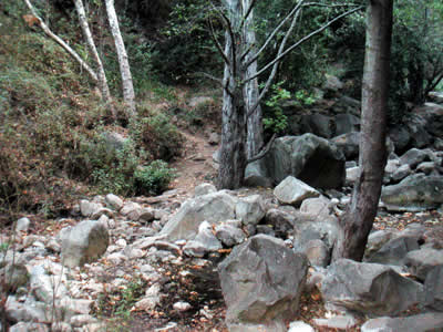 Image Number Three