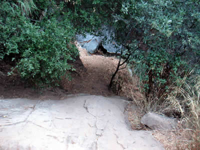 Image Number Four