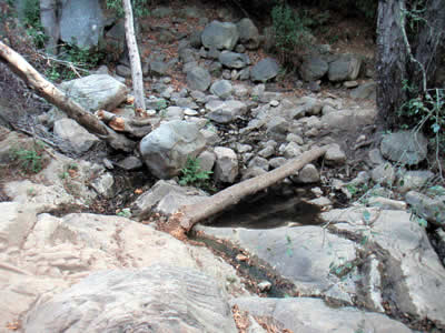 Image Number Five