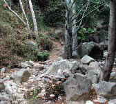 CSE003 Stream crossing