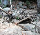 CSE005 Stream crossing