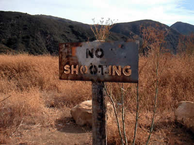 Image Number Seventeen