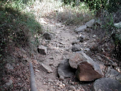 Image Number Four