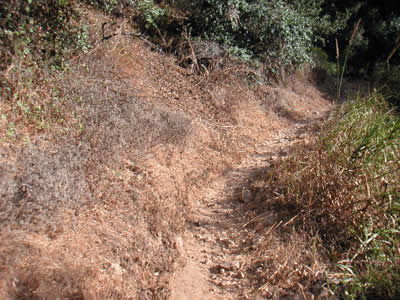 Image Number Five