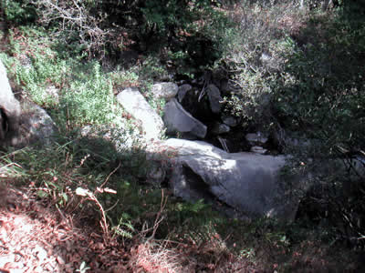 Image Number Six