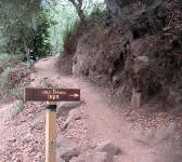 CSE001 Trailhead