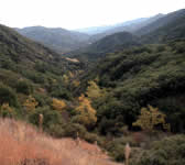 BCT016 Meadow overlook