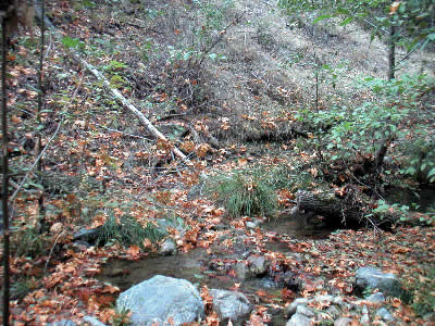 Image Number Three