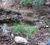 DBT002 Creek Crossing