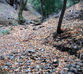 DBT007 Creek Crossing