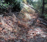 DBT008 Munch Canyon Trail junction
