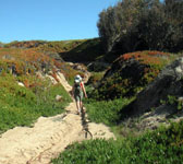 DEV006 Trail goes up