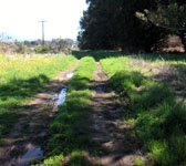 DEV009 Dirt road