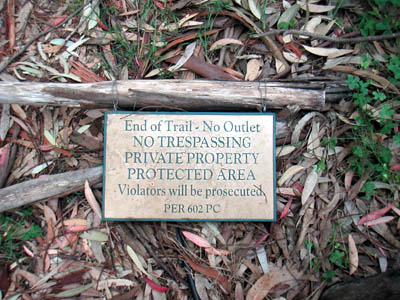 Image Number Ten