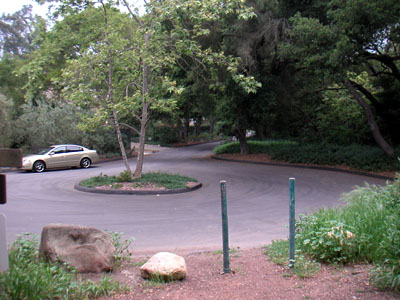 Image Number Six