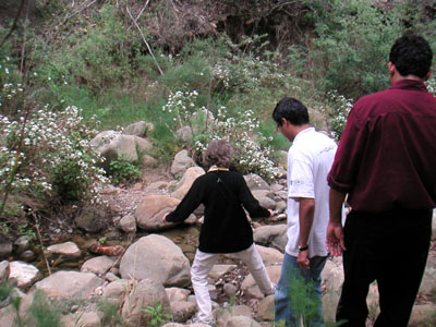 Image Number Nine