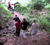 ENN011 Creek crossing
