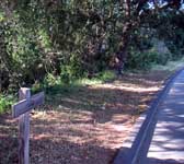 ENN004 Trail leaves road