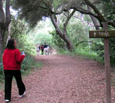 ENN005 Trail sign