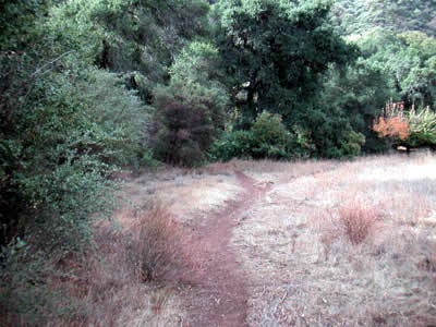 Image Number Three