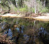 CSN013 Santa Ynez River